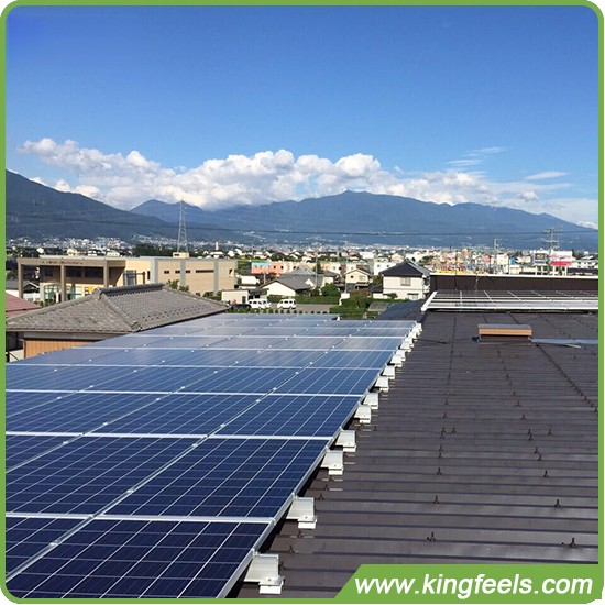 커뮤니티 태양광 프로젝트는 네덜란드에서 성장하고 있습니다
