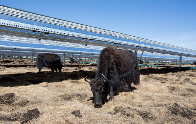 애플, 중국 태양광 발전소 건설 위해 3억 달러 펀드 조성
