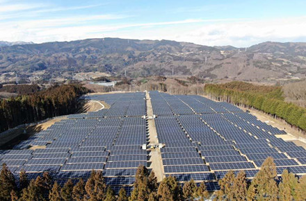 에너지 부족에 대응하여 독일 태양광, 1.5GW "위기 입찰" 출시
